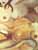 Dvky